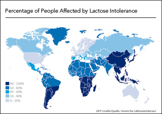 Evolution Of Lactose Tolerance Lactose Intolerance